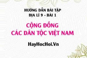 Câu hỏi và Bài tập Địa lí 9 trang 6 Giải bài 1, 2, 3 trang 6 SGK Địa lí 9
